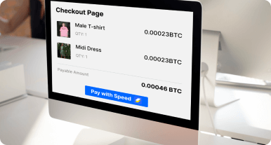 Speed Bitcoin payment integration on checkout page of online store
